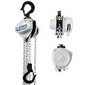TOYO 550lbs Chain Hoist 1/4 Ton - Mini Hand Hoist with 10FT Chain, for Garages, Warehouse, Automotive - Heavy Duty Pulley Hoist with 2 Heavy Duty Hooks (550Lb 10Ft)