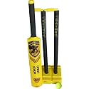 Toyzone Kids Cricket Bat Set with Wickets| Bat and Ball | Indoor and Outdoor Bat Ball Set for Boys, Sports Training Set for Young Children Age 3-8 Years (Toyzone Batman Kids Cricket Bat Set -55662)