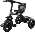 Toyzoy Mini Trike for Kids | Age Group 2 to 5 years TZ_561 Tricycle