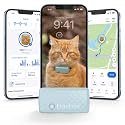 Tractive Smart Cat GPS Tracker | Real-Time Location &amp; Wellness Monitoring for Cats 6.5 lbs+ | Territory &amp; Location History | Up to 5-Day Battery | Breakaway Collar Included (Mint)