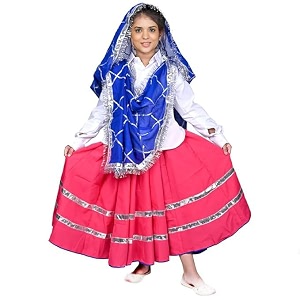 Traditional Haryanvi Girls Dance Costume Complete Set