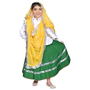 Traditional Haryanvi Girls Dance Costume Complete Set