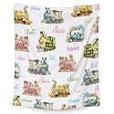 Train Blanket for Boys - 40x50 Inches Crib Size - Soft Fuzzy Plush Throws Gifts - White Cute Throw Blanket for Couch &amp; Sofa