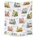 Train Blanket for Boys - 50x60 Inches Throw Size - Soft Fuzzy Plush Throws Gifts - White Cute Throw Blanket for Bed, Couch &amp; Sofa