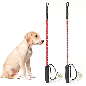 training hunter stick for puppies and dogs and easy to use exercise walking stick will not hurt your pet comfortable and non-slip handle stick length- 283939 color may vary pack of 2
