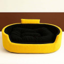 TRANDING STYLISH Luxury Coller Sofas Beds