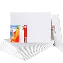 Transon 12 Pack 9x12 Inch Acrylic Painting Canvas, with Heavy Duty MDF Backing Boards, 100% Cotton Acid-Free Primed Canvas Panels for Beginners Art Crafts