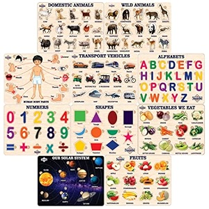 treasurebox wooden puzzle educational board learning toy tray for kids size 22x30 cm al-fr-vg-sh-bp-ss-tv 