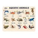 TreasureBox Wooden Puzzle Educational Board Learning Toy Tray for Kids, Size 22x30 cm (Aquatic Animals)