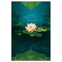 Tree-Free Greetings - All Occasion Cards - Artful Designs - 12 Greeting Cards + White Envelopes - Made in USA - 100% Recycled Paper - 4 x 6 - Bouquet of Light (FS66555)