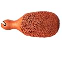 TrendEvo Terracotta Natural Pumice Stone Foot Scrubber Unisex