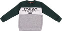 Trendy World Boys & Girls Printed Round Neck Dark Green Sweater