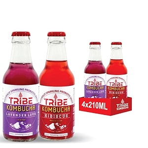 tribe kombucha naturally sparkling probiotic super drink hibiscuslemonblue pea flower amp lavender  gut friendly  gluten free  immunity booster  antioxidant and hydration  pack of 12 330 ml