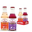 Tribe Kombucha Naturally Sparkling Probiotic Super Drink| Rose,Tulsi,Blue Pea Flower &amp; Lavender | Gut Friendly | Gluten free | Immunity Booster | Antioxidant and Hydration | Pack of 12 |330 ML