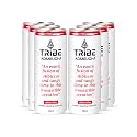 Tribe Kombucha Probiotic Super Drink | Supports Gut Health | Gluten-Free | Naturally Fermented | Super Refreshing | Gut Friendly | Improves Blood Sugar | Antioxidant and Hydration | No Added Sugar | 250 ML X 6 (HIIIBISCUS)