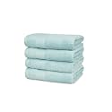 Trident Soft Comfort Air Rich Towel 100% Cotton Hand Towel for Daily use, 500 GSM Highly Absorbent Towels for Men/Women, 4Pc Hand Towel Set (41 cm X 66 cm), Nile Blue