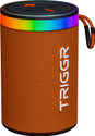 TRIGGR Roar 10 with RGB Lights, Fabric Exterior, TWS & FM Mode, 8H Playtime 10 W Bluetooth Speaker