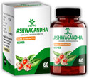Trivang KSM 66 Ashwagandha| Rejuvenate Mind & Body | For Immunity | Each Capsule 500 mg (30 Capsules)