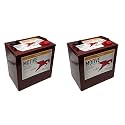 Trojan T105-AES 6V Advanced Energy Storage Deep-Cycle Battery, Renewable Energy, Off-Grid, Industrial Use (Pack of 2)