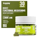 Troomy Reishi Mushroom Gummies with Ashwagandha - Berry Acai, 30 Count