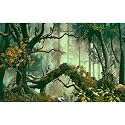 Tropical Forest Aquarium Background Dense Rainforest Atmosphere Terrarium Background Foggy Misty Jungle Forest Fish Tank Background Huge Tree with Lush Moss Reptile Habitat Background Poster 72x18in