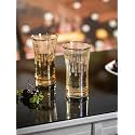 Trovea39s Golden Brilliance Highball Glass Set of