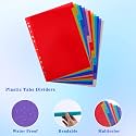 True-Ally A4 Plastic Separator, 12-Tab Binder Dividers, Write & Erase Big Dividers for 2/3/4/11 Ring Binders, Insertable Multicolor Tabs (2 Set, Total 24 Sheets)
