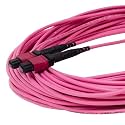 TRUE CABLE MTP/MPO OM4 MM 12-Fiber Patch Cable Type B, OFNP, 30m (98.42ft)