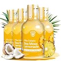 True Sea Moss Pina Colada Sea Moss Electrolyte Lemonade – Tropical Pineapple & Coconut Hydration Drink – No Added Sugar with Sea Moss & Electrolytes – 4 x 12 fl oz Bottles