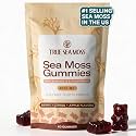 TrueSeaMoss Gummies – 3-in-1 Formula – Irish Sea Moss with Bladderwrack &amp; Burdock Root – Fruity Flavor – 60 Gummies