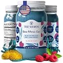 TrueSeaMoss Sea Moss Gel – Made in USA – Wildcrafted Seamoss, Fruits &amp; Jarred Vegetables – Blue Spirulina, Pack of 1 (Labels may Vary)