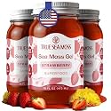 TrueSeaMoss Sea Moss Gel – Made in USA – Wildcrafted Seamoss, Fresh Fruits & Sea Vegetables – Strawberry, Pack of 3 (Labels May Vary)