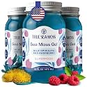 TrueSeaMoss Sea Moss Gel – Made in USA – Wildcrafted Seamoss, Fruits & Jarred Vegetables – Blue Spirulina, Pack of 3 (Labels may Vary)