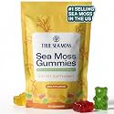 TrueSeaMoss Sea Moss Gummies with Bladderwrack & Burdock Root – Vegan Formula for Adults & Kids – Fruity Flavor – 60 Gummies (Pouch May Vary)