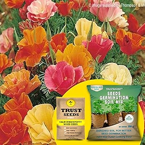 trustbasket cocopeat 1 kg block  expands upto 5 litres of powder  hydroponic plants kitchen gardening and terrace gardening