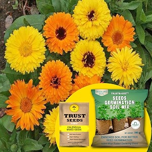 trustbasket calendula mixed hybrid seeds with free germination potting soil mix