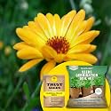 TrustBasket® Calendula Yellow (Hybrid) Seeds With Free Germination Potting Soil Mix