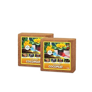 trustbasket cocopeat 2 kg block set of 2-1kg each  expands upto 10 litres of powder hydroponic plants kitchen gardening and terrace gardening