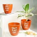 TrustBasket Terra Minis Small Flower Pots Set of 6 | Olive Terracotta Flower Pot | Mud Plant Container | Handmade Pots | Gamla for Plants | Pots for Plants | Indoor Outdoor Use
