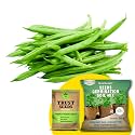 TrustBasket French Beans (OP/Desi) Seeds with Free Germination Potting Soil Mix