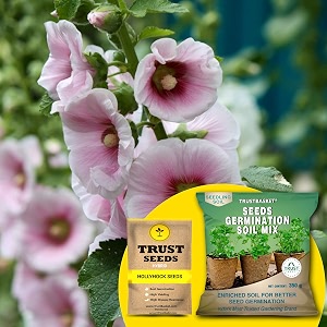 trustbasket hollyhock hybrid seeds with free germination potting soil mix