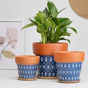 trustbasket terra minis small flower pots set of 6  olive terracotta flower pot  mud plant container  handmade pots  gamla for plants  pots for plants  indoor outdoor use