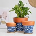 TrustBasket Terra Minis Small Flower Pots Set of 6 | Olive Terracotta Flower Pot | Mud Plant Container | Handmade Pots | Gamla for Plants | Pots for Plants | Indoor Outdoor Use