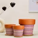 TrustBasket Terra Minis Small Flower Pots Set of 6 | Olive Terracotta Flower Pot | Mud Plant Container | Handmade Pots | Gamla for Plants | Pots for Plants | Indoor Outdoor Use