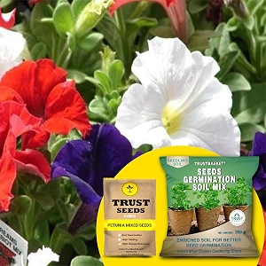 trustbasket petunia mixed hybrid seeds with free germination potting soil mix