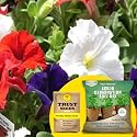 TrustBasket® Petunia Mixed (Hybrid) Seeds With Free Germination Potting Soil Mix