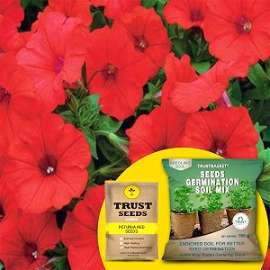 trustbasket petunia red hybrid seeds with free germination potting soil mix