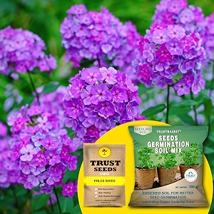 trustbasket phlox hybrid seeds with free germination potting soil mix
