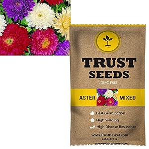 trustbasket premium stocks flowers seeds hybrid  sow and grow fresh healthy seed in your garden perfect for home amp terrace gardening high germination seeds