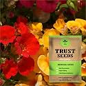 TrustBasket Premium Flower Nemesia Seeds (Open pollinated) | Sow and Grow Fresh Healthy Seed in Your Garden Perfect for Home &amp; Terrace Gardening High Germination Seeds
